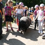 phoca_thumb_m_horeky  36 Fotogalerie
